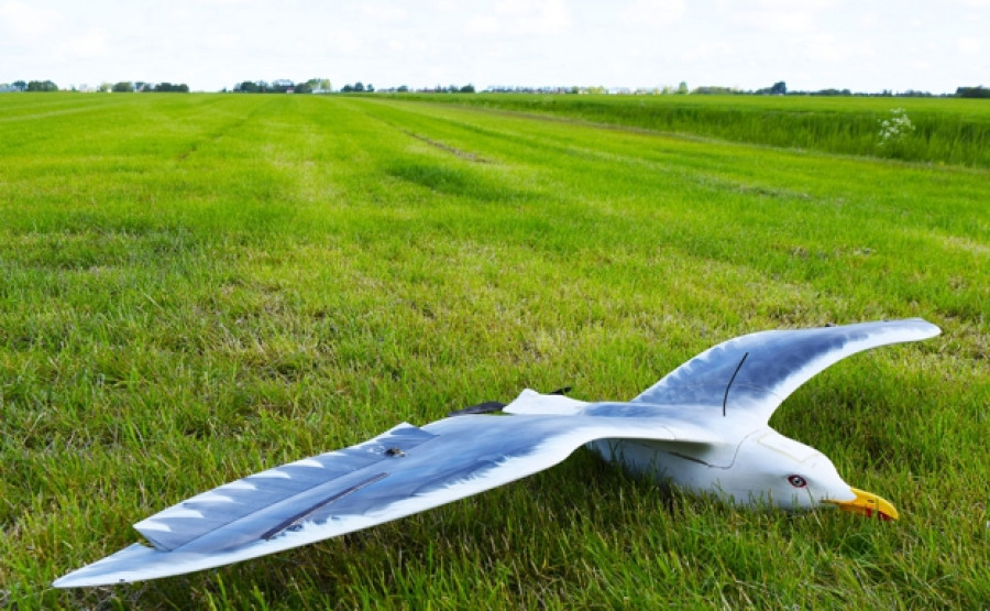 Dron con forma de pájaro para uso lúdico. Foto The dron bird company