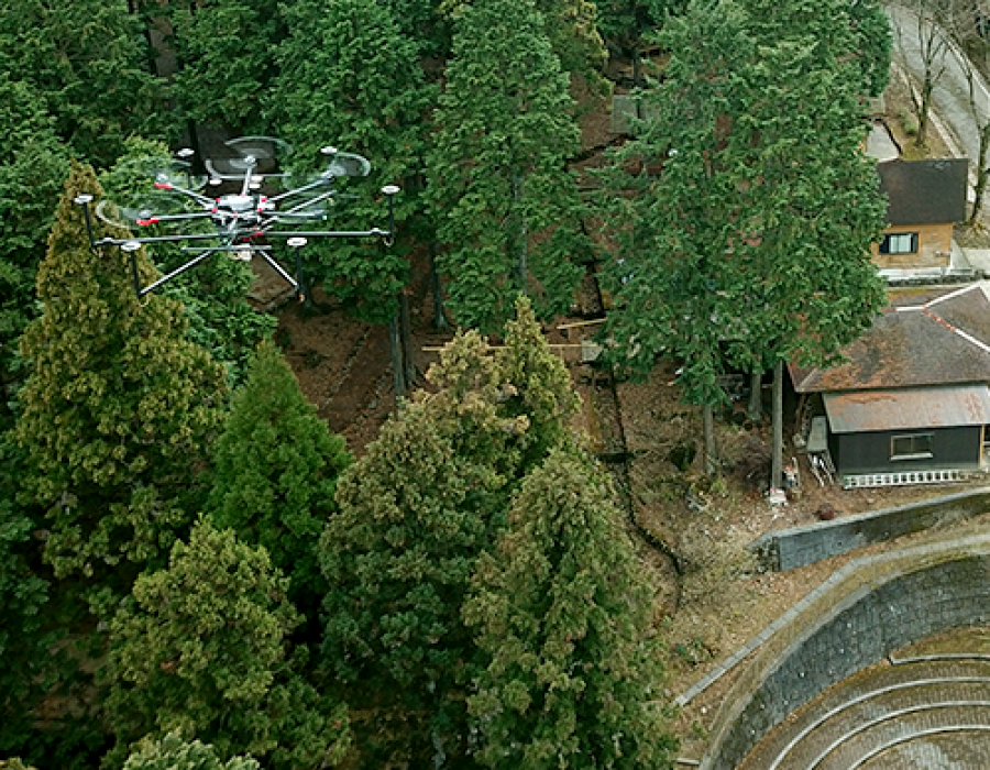 Un dron sobrevolando un bosque. Foto Terra Drone