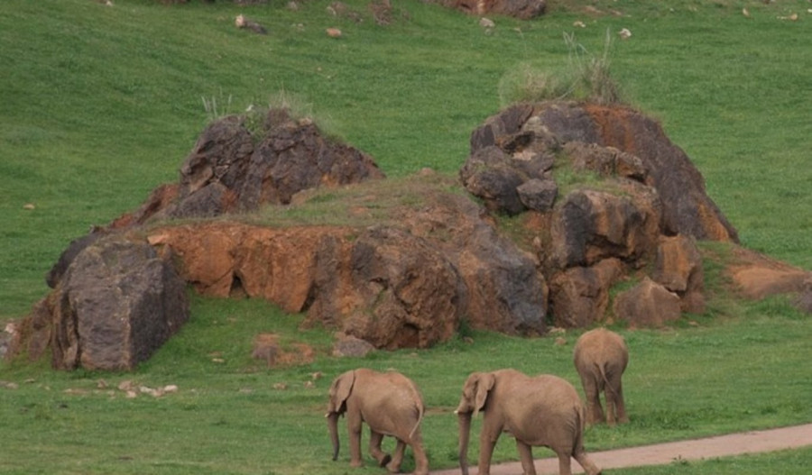 Elefantes en Cabárceno. Foto Gobierno de Cantabria.