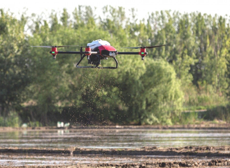 Siembra de arroz con drones. Foto XAG.