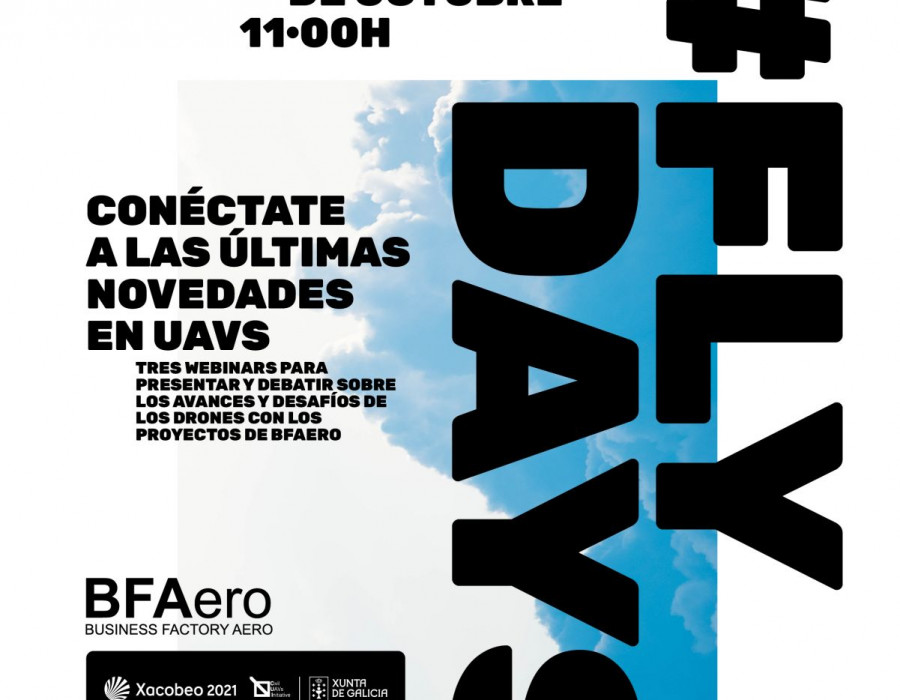 Cartel FlyDays. Foto BFaero.