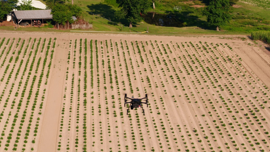 Sistemas agrícolas. Foto PrecisionHawk.