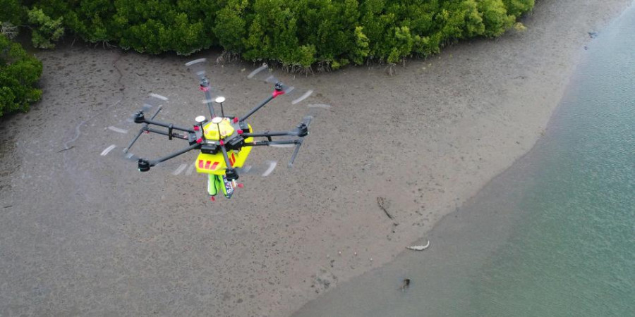 Drones detectando cocodrilos. Foto Westpac Little Ripper.
