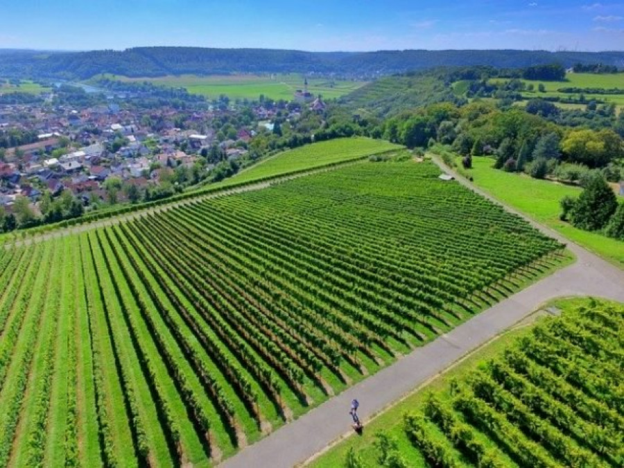 Imágen de campos con drones. Foto BASF.
