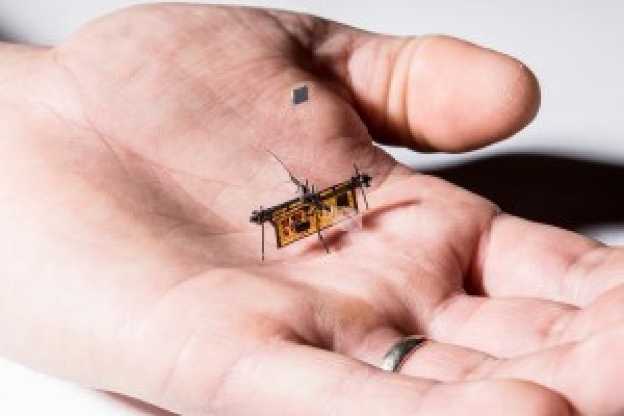 RoboFly uni washington