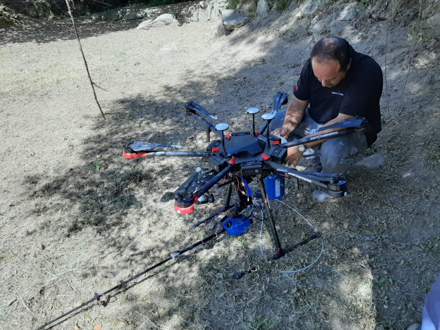 Exterminando nidos de velutina. Foto Aerocamaras.