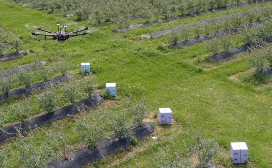 Bee innovate