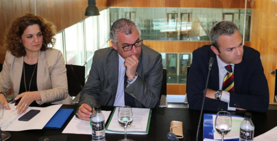Helice presidente carnero copia