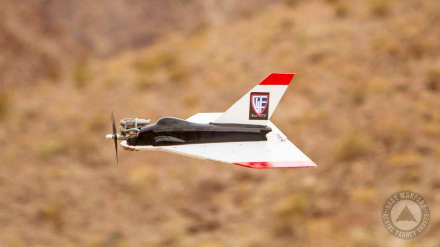 Gnat warfare aerial target drone