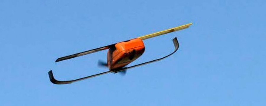 Archivo UAS perdix  depart defensa EEUU