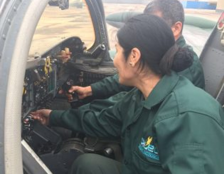 Fuerza aerea peru  FAP