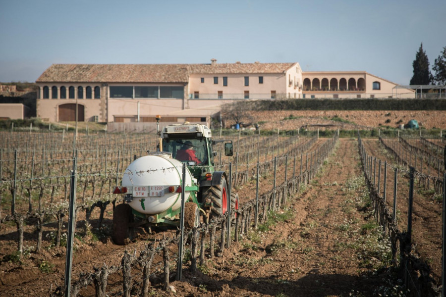 Freixenet