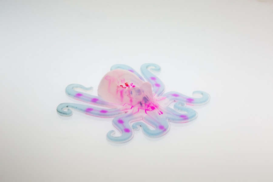 160903 octobot robot blando ryan truby michael wehner lori sanders universidad harvard