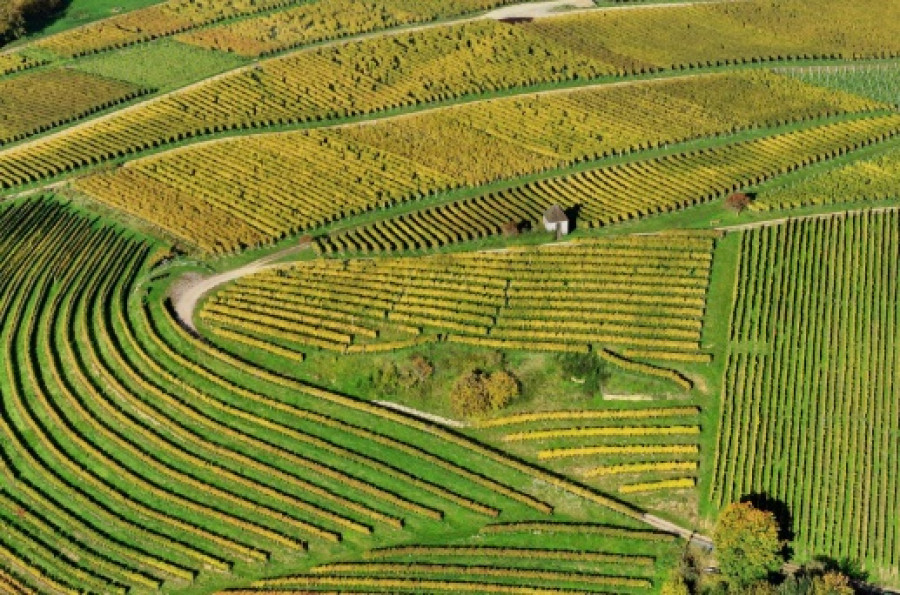 Enjambres drones agricultura UE