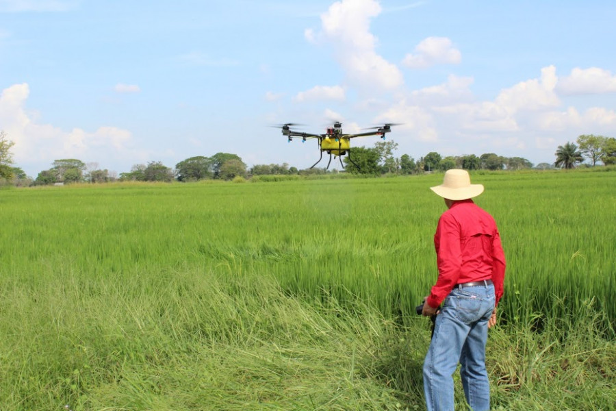 Foto promueven entre agricultores de arroz de Panama uso de drones