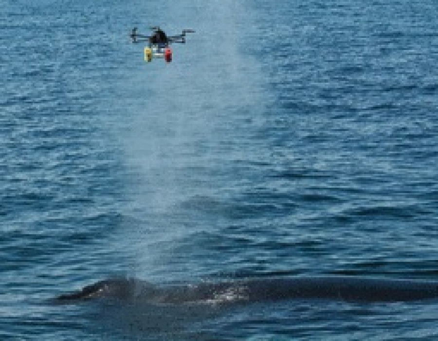 Ballenas APH22 Hexacopter