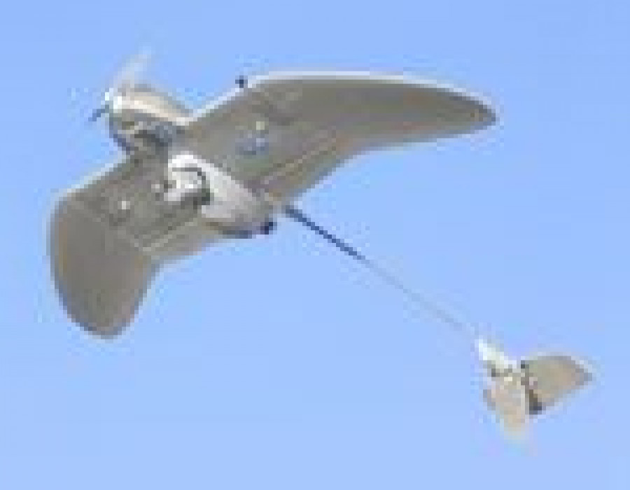 WASP AE