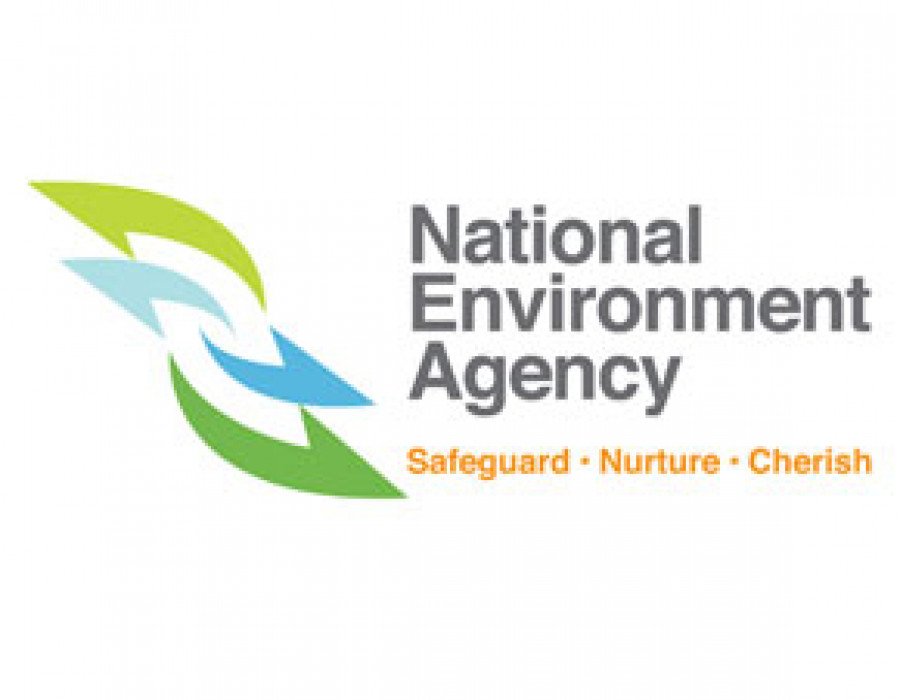 NEA Logo 2012 thumbs
