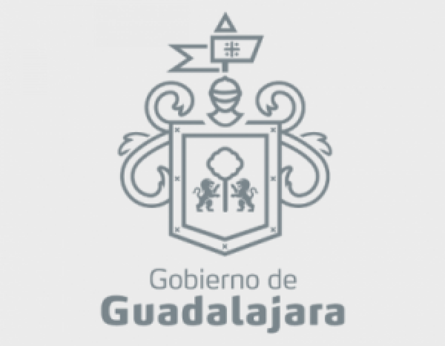 Guadalajara 300x300