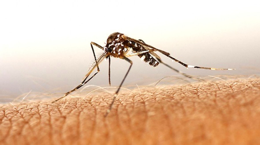 160513 uav mosquito tigre lokimica
