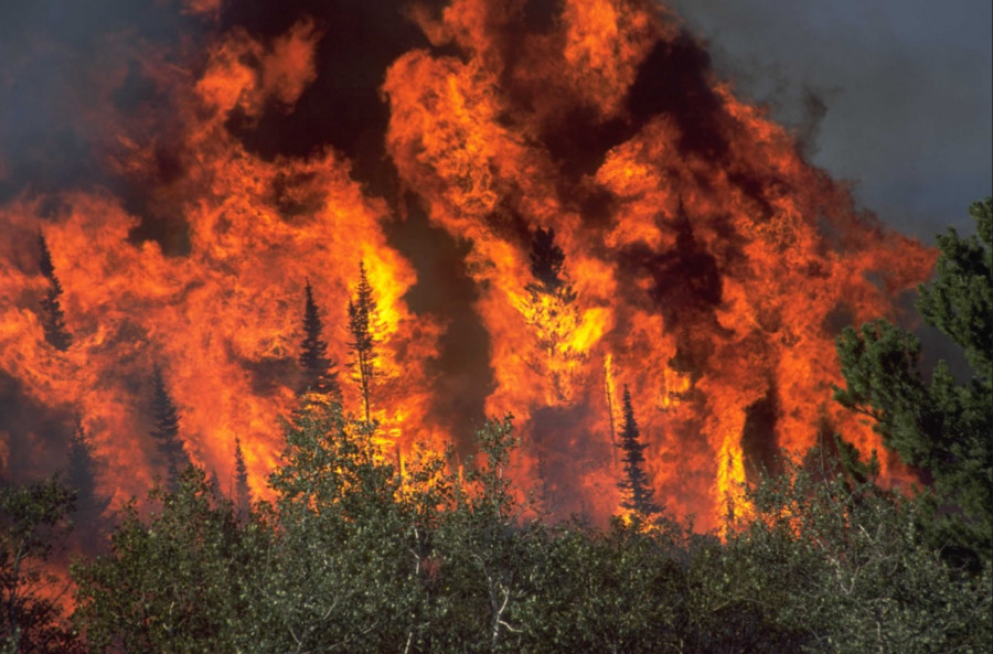160616 incendio bosque eeuu servicio forestal eeuu