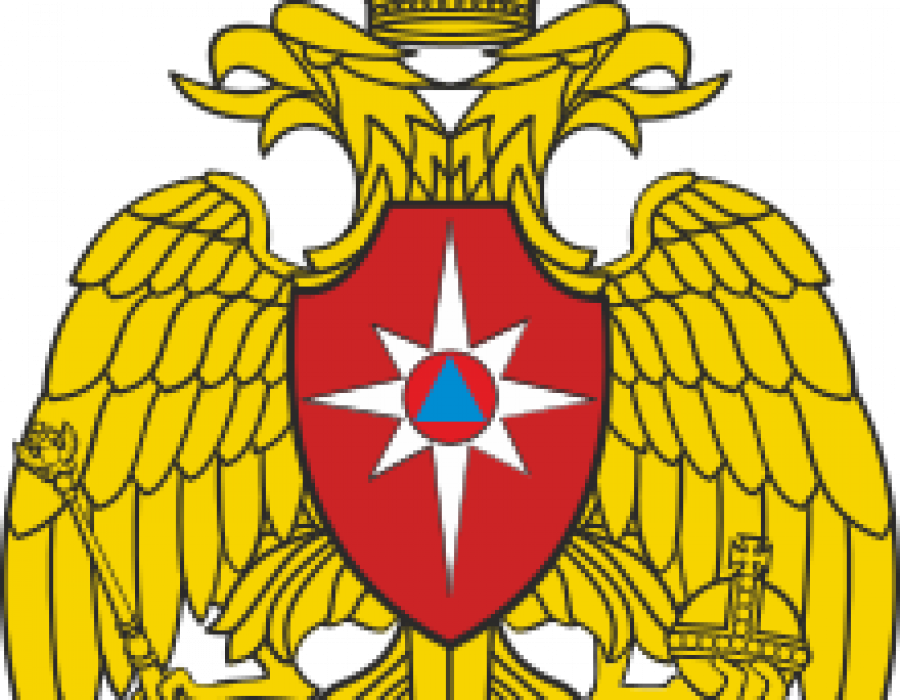 Mchs russia svg
