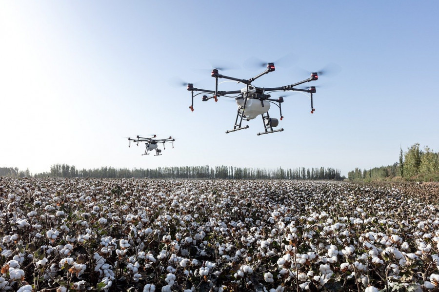 Agriculture g66769874d 1280