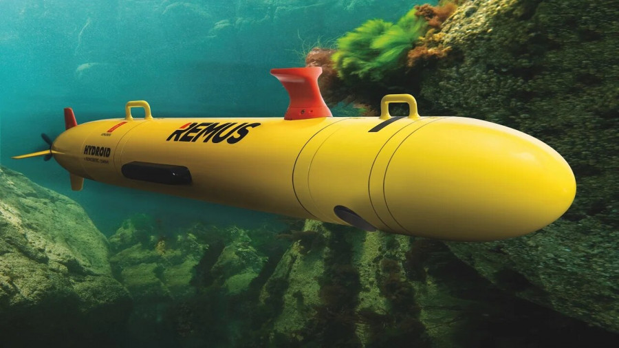 Image 3 REMUS 300 UUV