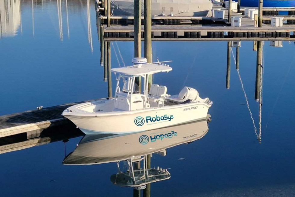 Robosys Pioneer